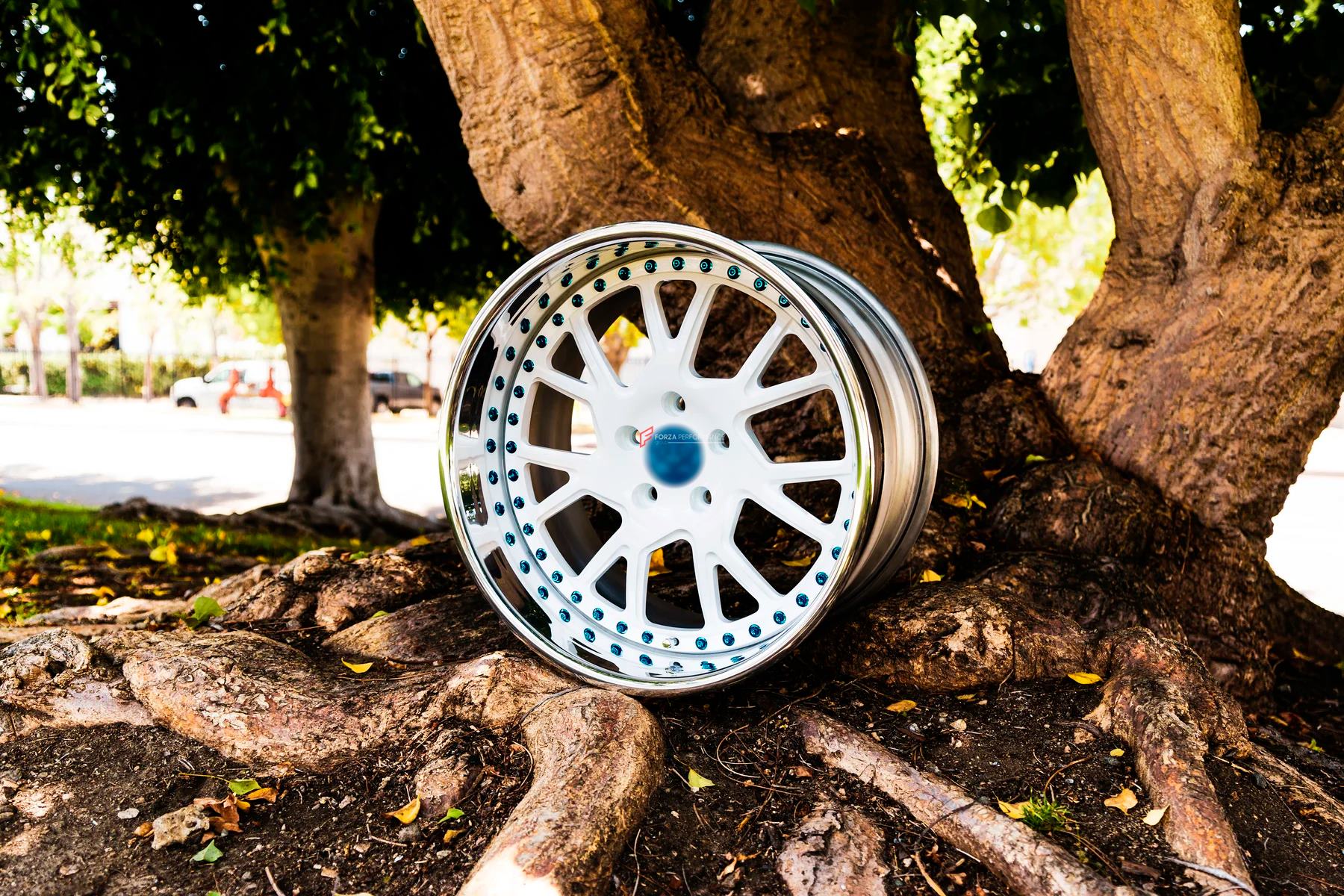 3-Piece FORGED WHEELS FOR ANY CAR BF-41